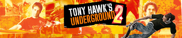 tony hawks pro skater banner from 2004
